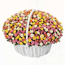 Премиум букет из: Розы в Поселок совхоза Архангельский