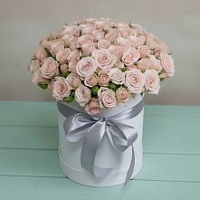 Цветочная композиция из Розы в шляпной коробке в Поселок совхоза Архангельский