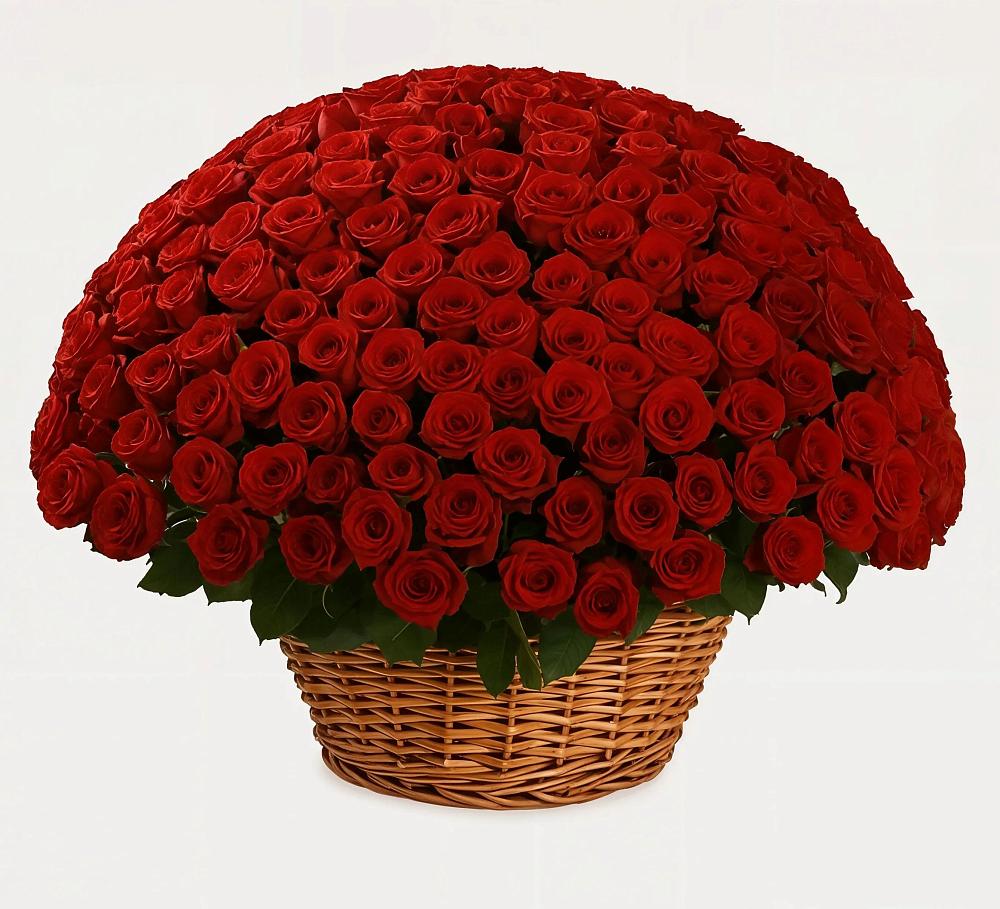 Премиум букет из: Розы в Поселок совхоза Архангельский