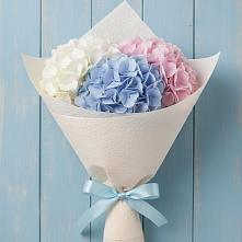 Букет цветов из:  Гортензия в Поселок совхоза Архангельский