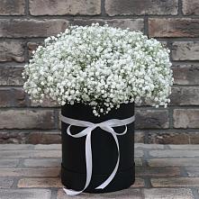 Цветочная композиция из Гипсофила в шляпной коробке в Поселок совхоза Архангельский