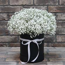 Цветочная композиция из Гипсофила в шляпной коробке в Поселок совхоза Архангельский