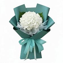 Букет цветов из:  Гортензия #REPLACE_PRED# Поселок совхоза Архангельский
